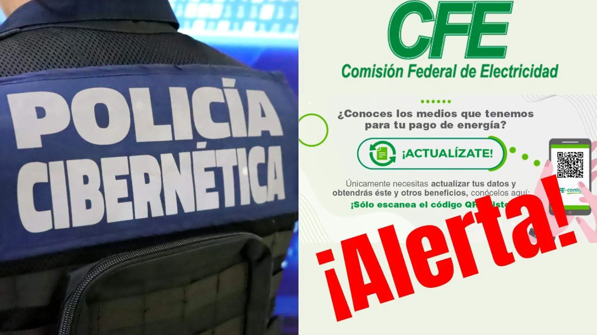 Página falsa de la CFE